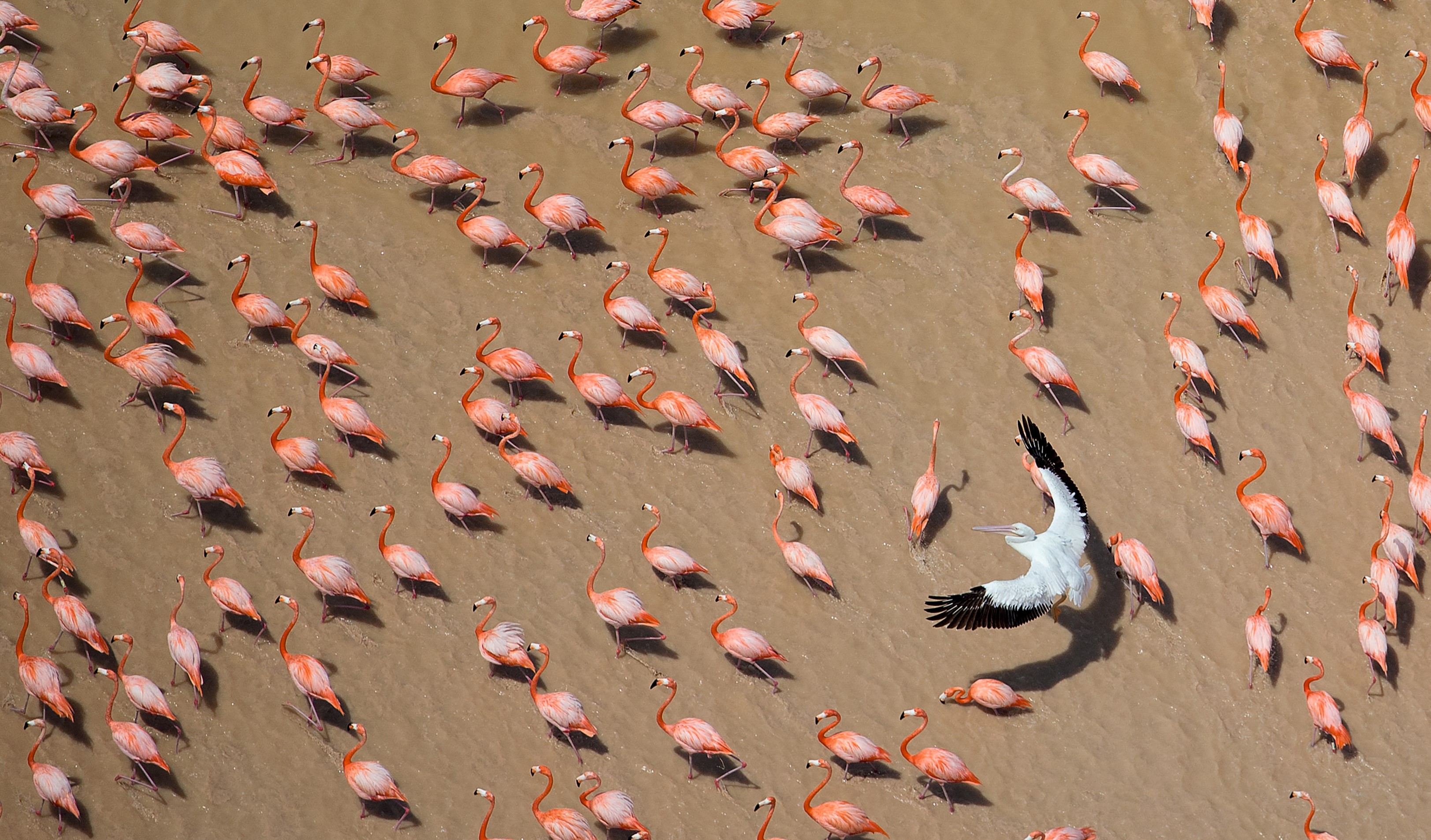 Vörös Lóránt fotókiállítása